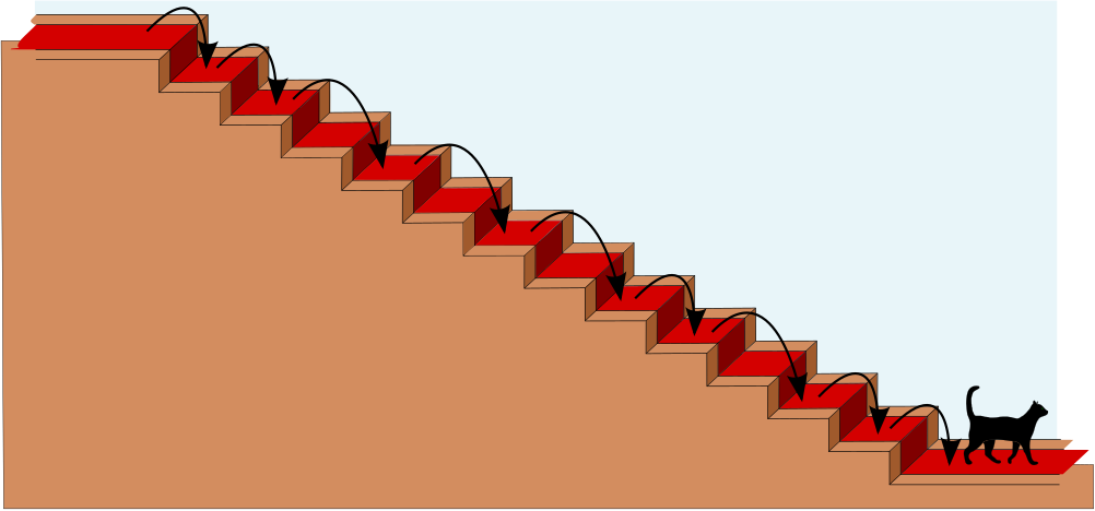 cat having walked down a staircase